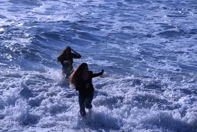 DSC_0483 (Large).JPG